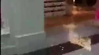 الأندونيسية ثنائي الجنس تايوانية