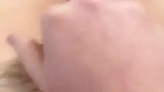 غريب شعر قصير أمريكي