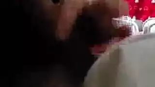 مص قضيب صلب واللعب ببظر منتفخ مشهد صريح