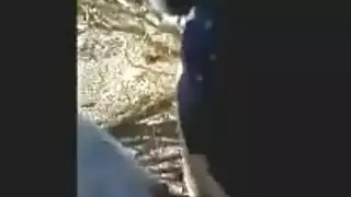 جنس فموي صريح: محجبة تأخذ سائل سعودي في حلقها