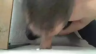 بي بي سي تأخذ مؤخرتي بقوة